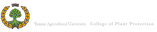 yl8cc永利